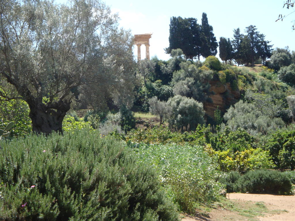 Guest House Artemide Agrigento Exterior photo